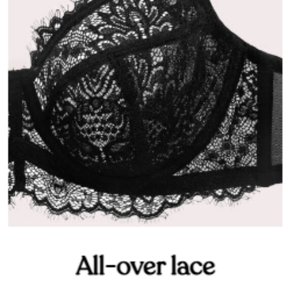 HSIA Bra 38DD Purple Lace Sheer Back Closure Underwire - Picture 13 of 14